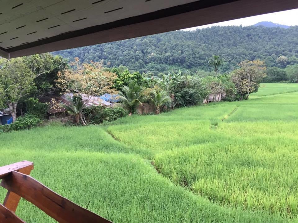 Pimpa House Hotel Ban Hua Nam Mae Sakut Exterior photo